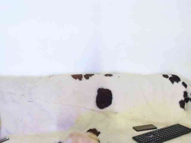 masterbbcdominant23 masterbbcdominant23