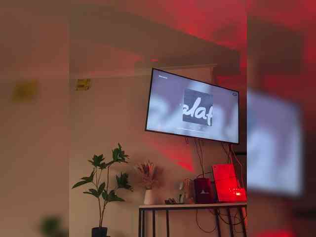 Kotofeyka1 Kotofeyka1