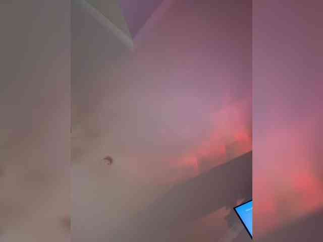 Kotofeyka1 Kotofeyka1