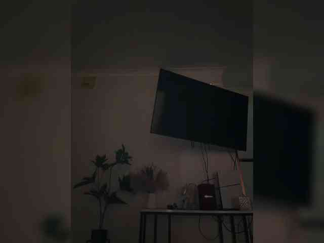 Kotofeyka1 Kotofeyka1