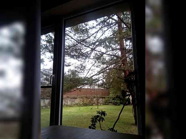 Krasotkas_duo webcam