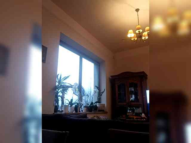 Krasotkas_duo webcam