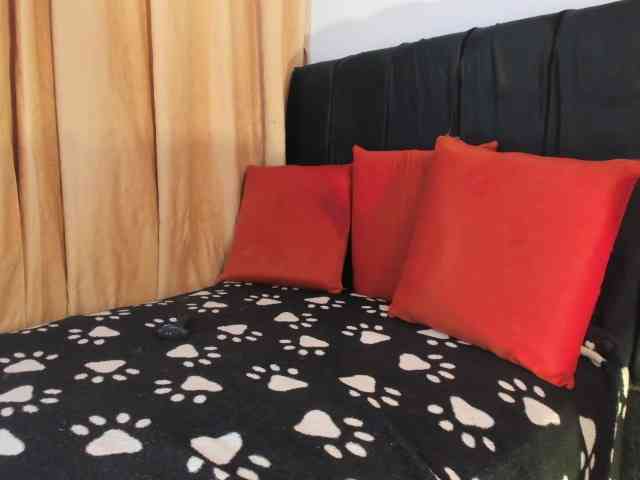 misterjhons2 Live Webcam on BongaCams