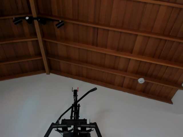 TiffannySins — Lick my pussy and make me scream out your name  IG: @tiffannysins  Goal: Sexy Dance +  Blowjob @remain 