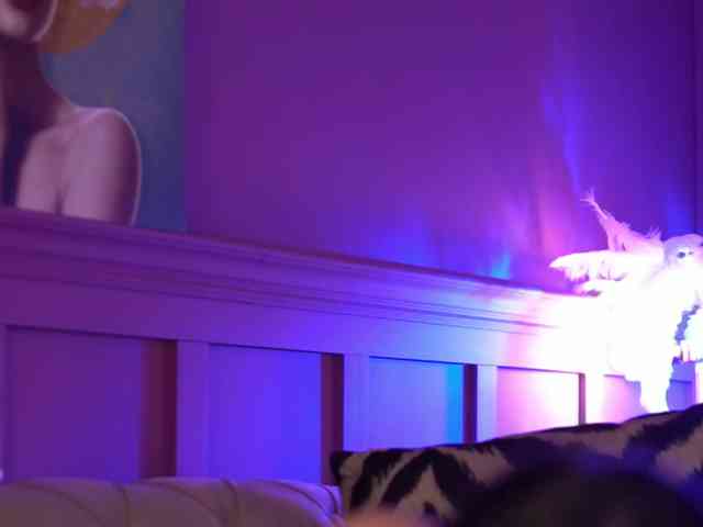ArinaRhodes webcam