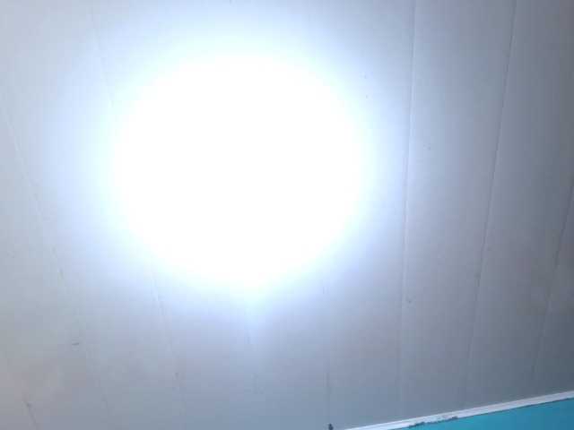 LeoAndKali's BongaCams show and profile