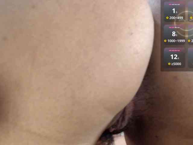 LeoAndKali webcam