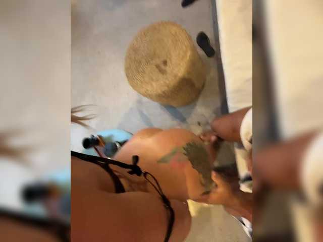 GeminiCode22