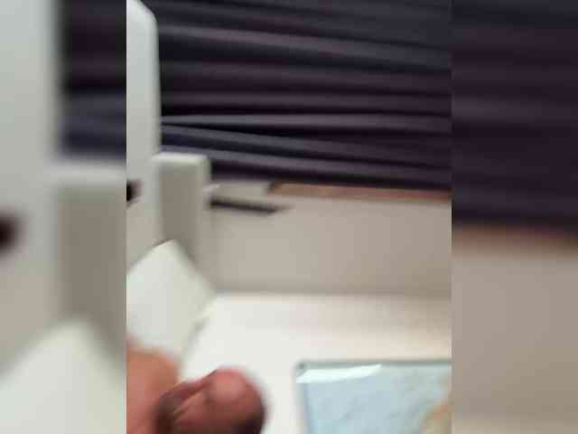 GeminiCode22 GeminiCode22