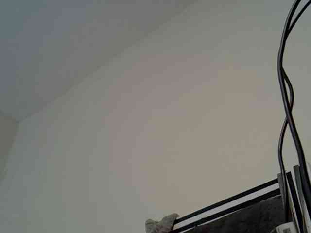 PetiteAlexa webcam
