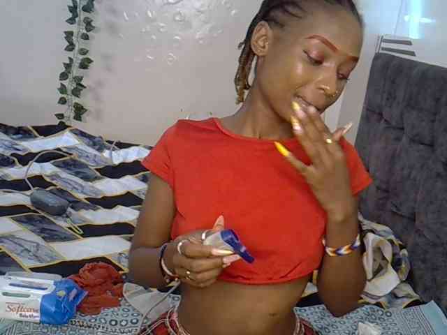 PetiteAlexa webcam