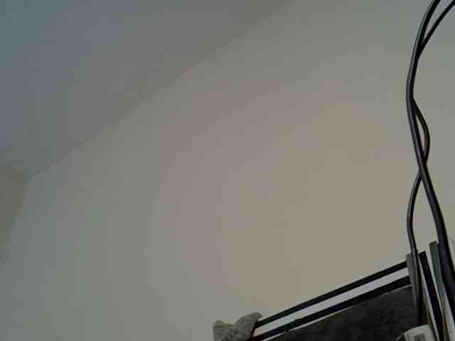 PetiteAlexa webcam