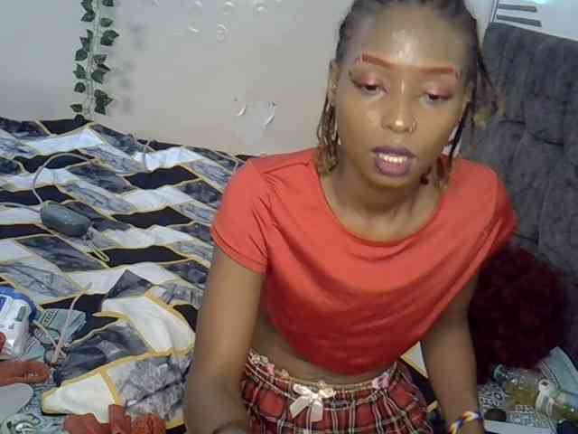 PetiteAlexa webcam