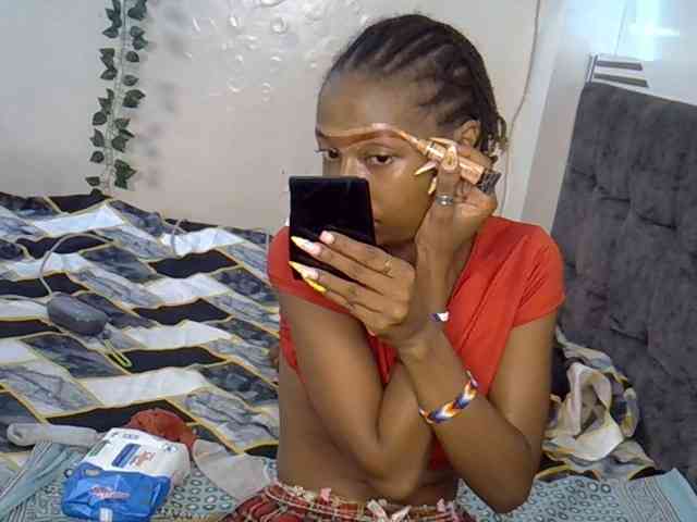PetiteAlexa webcam