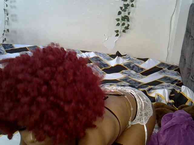 PetiteAlexa webcam