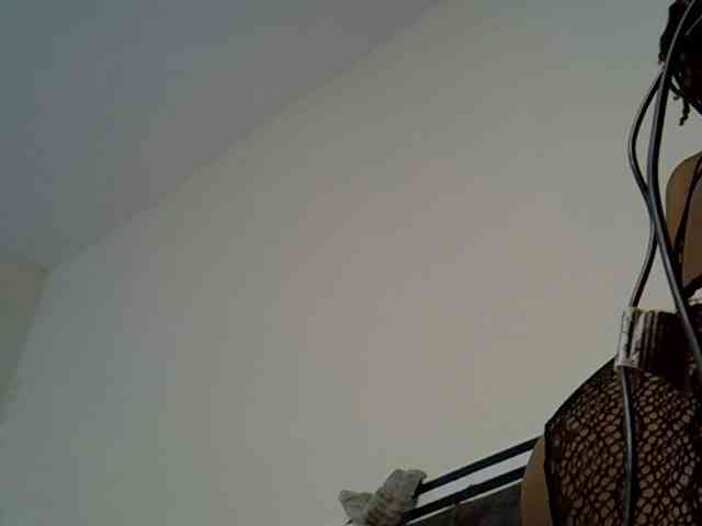 PetiteAlexa webcam