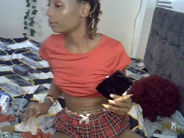 PetiteAlexa webcam