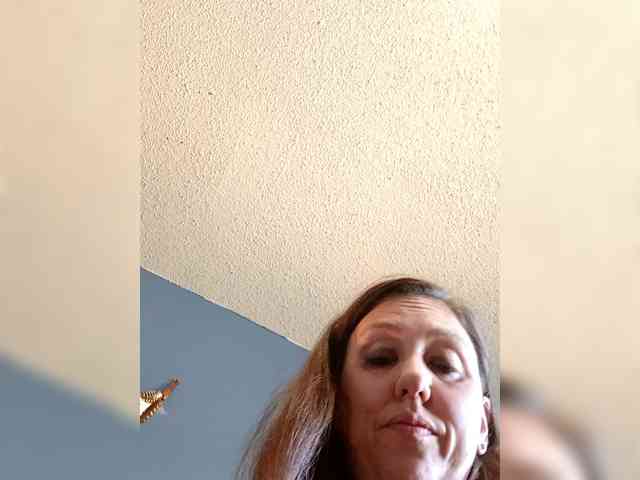 Nativveslut webcam