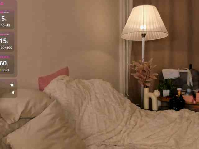 EfieFry webcam