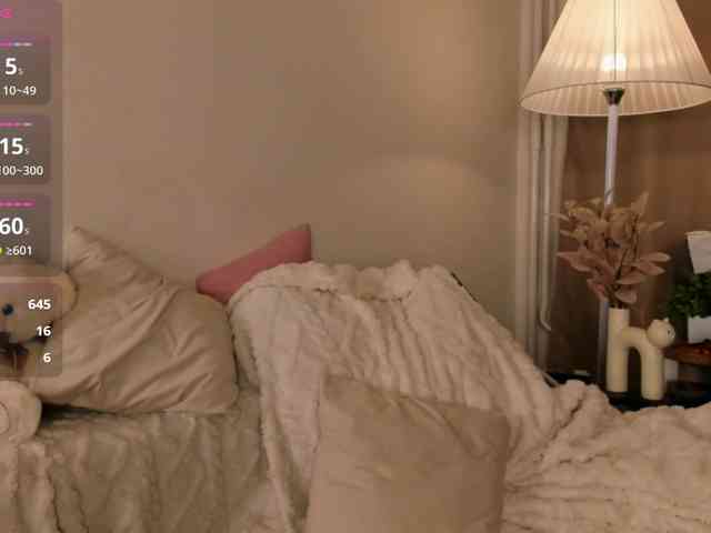 EfieFry webcam