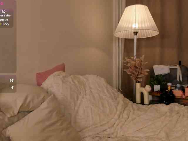 EfieFry webcam