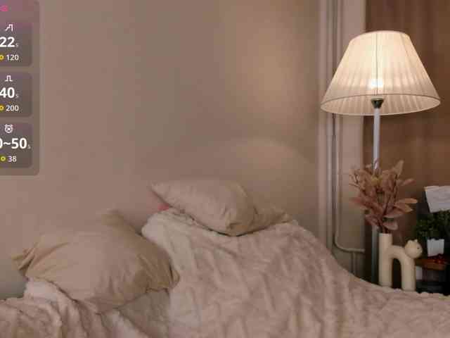 EfieFry webcam
