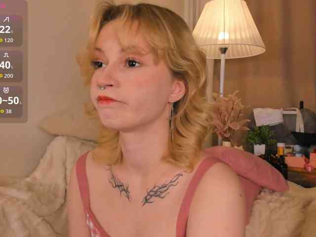 EfieFry webcam