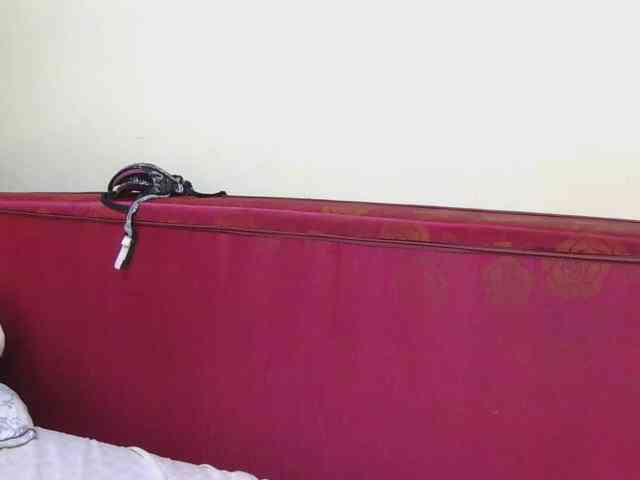 SexxyBarbie webcam