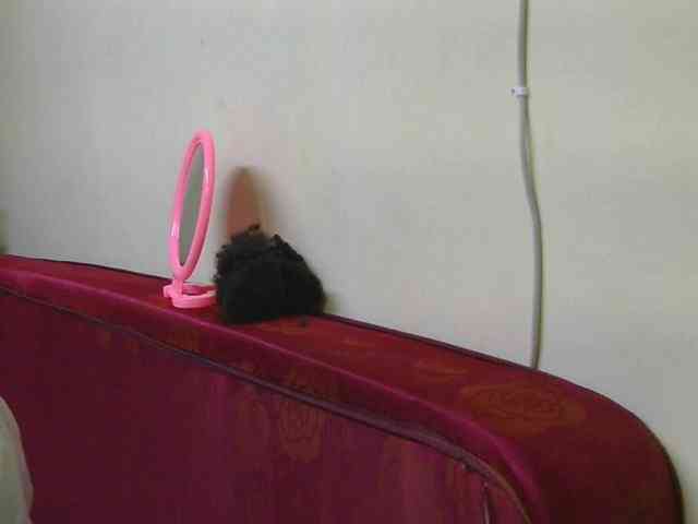 SexxyBarbie webcam