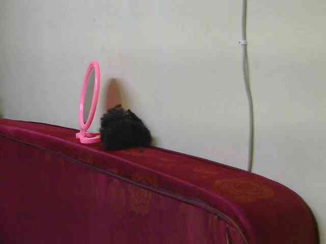 SexxyBarbie webcam