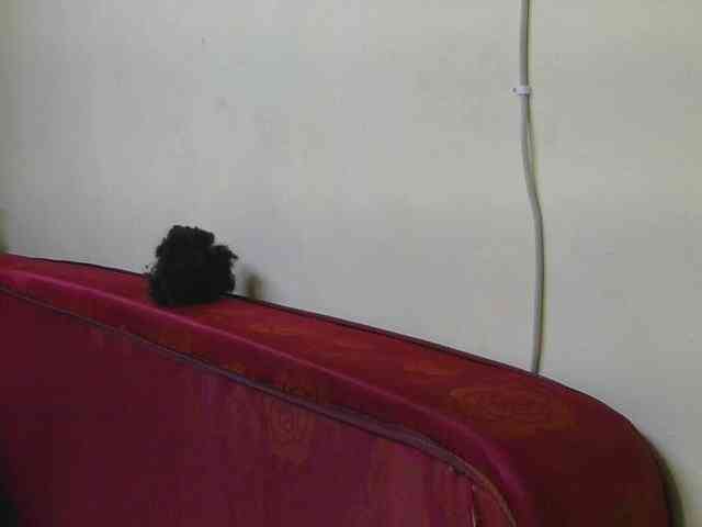 SexxyBarbie webcam