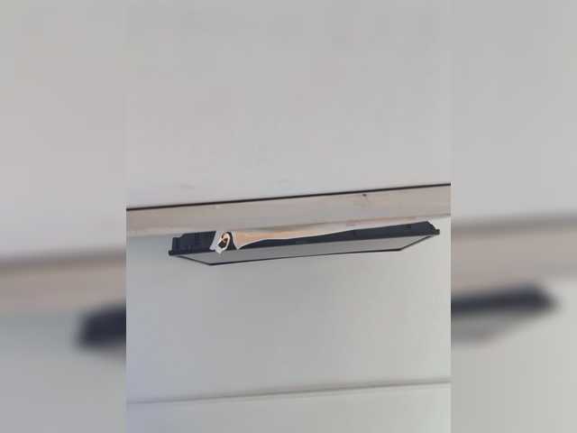 ElizHarper's BongaCams show and profile