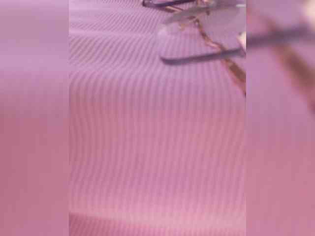 ElizHarper Live Webcam on BongaCams