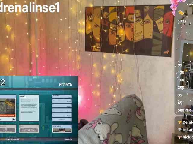 Kushina webcam