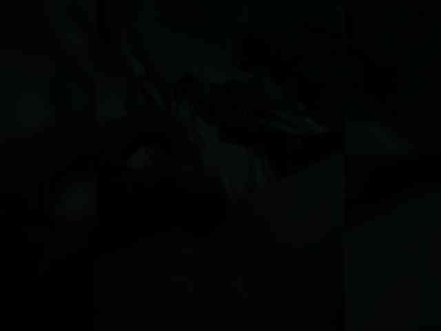 Boss981-1 Live Webcam on BongaCams