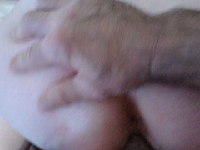 Preview of sexpara696969