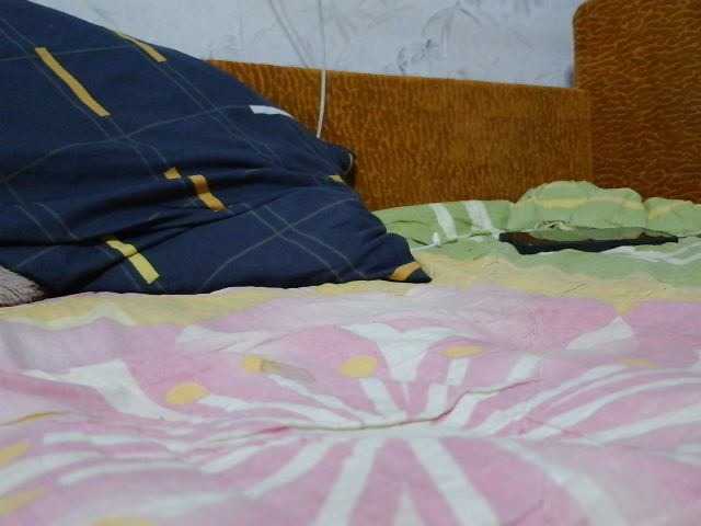 SexPara696969
