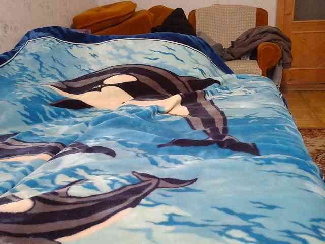 SexPara696969 webcam