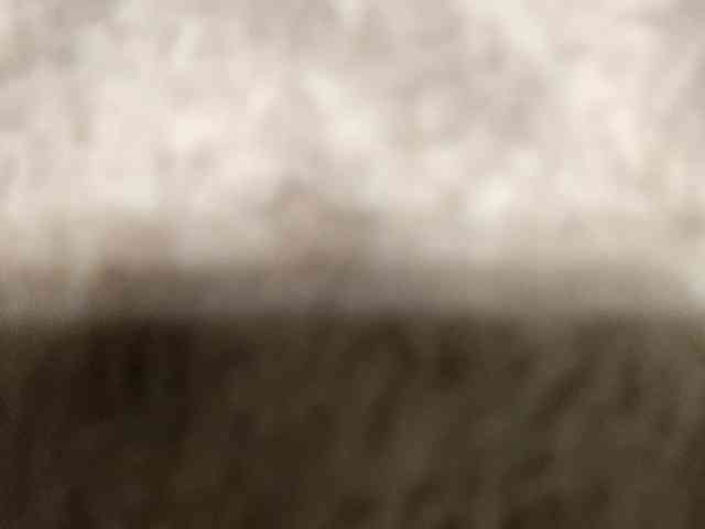 SexPara696969 webcam