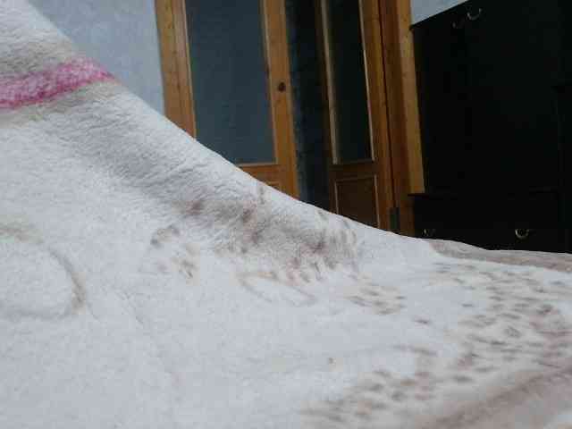 SexPara696969 webcam