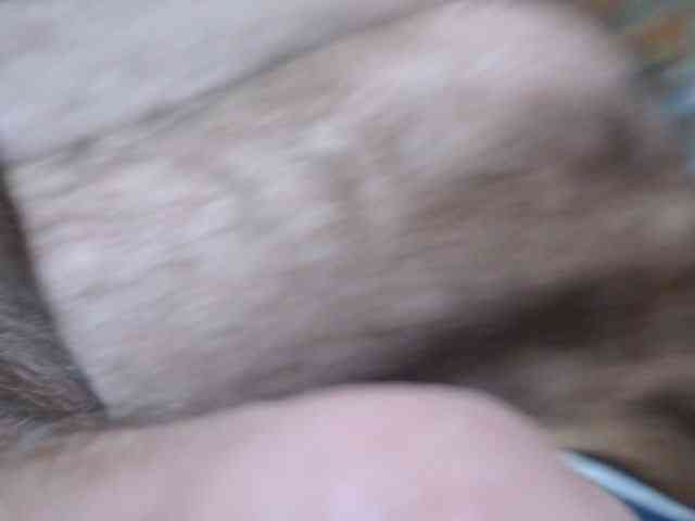 SexPara696969 webcam