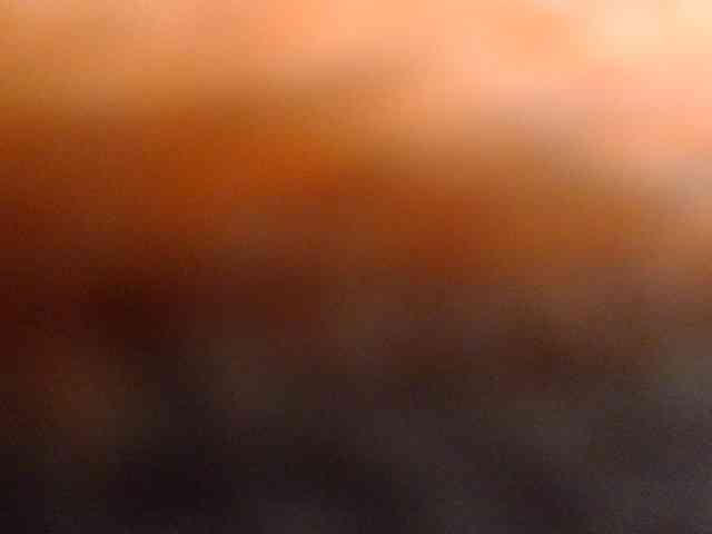 SexPara696969 webcam