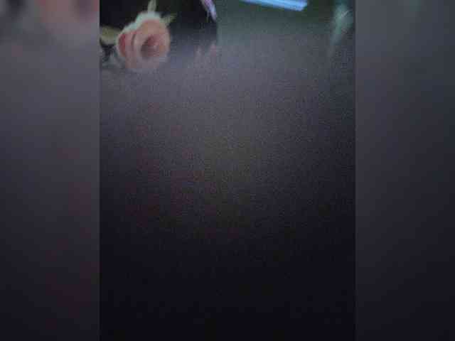 SexPara696969 webcam