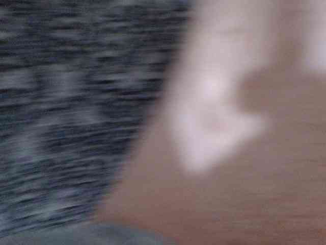 SexPara696969 webcam