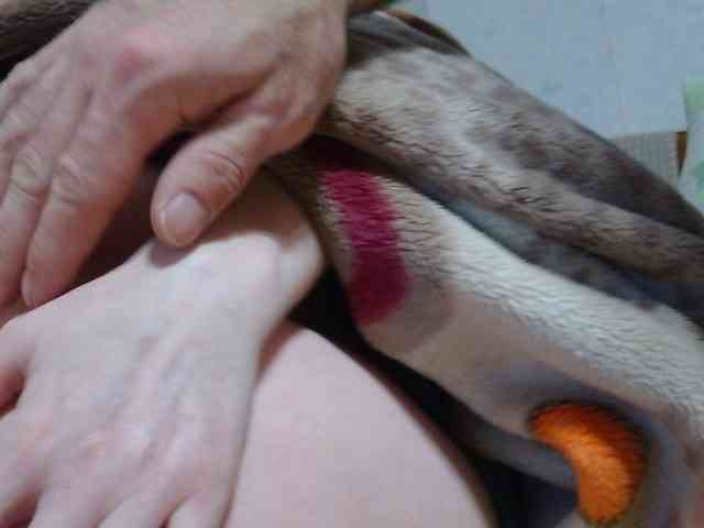 SexPara696969 webcam