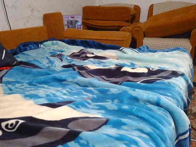 SexPara696969 webcam