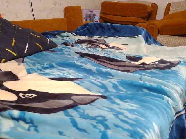 SexPara696969 webcam