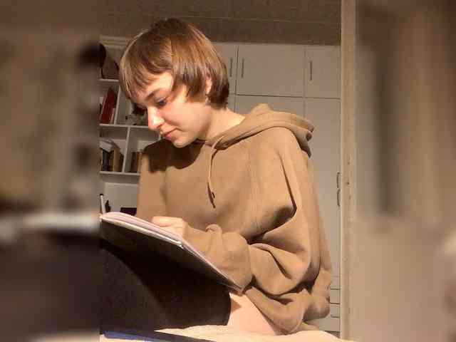 Piterskaya6 webcam