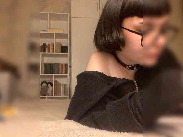 saintpiterskaya webcam