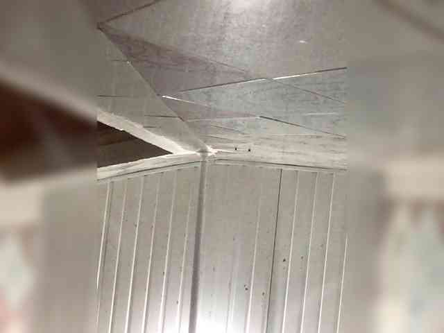 saintpiterskaya webcam